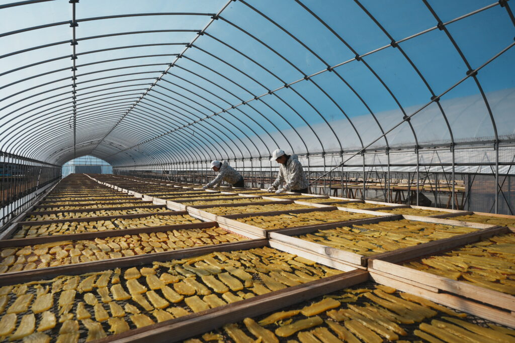 清勝農園からのお知らせ