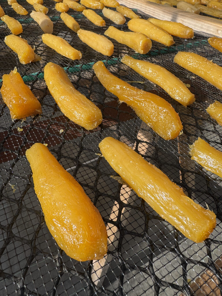 清勝農園からのお知らせ