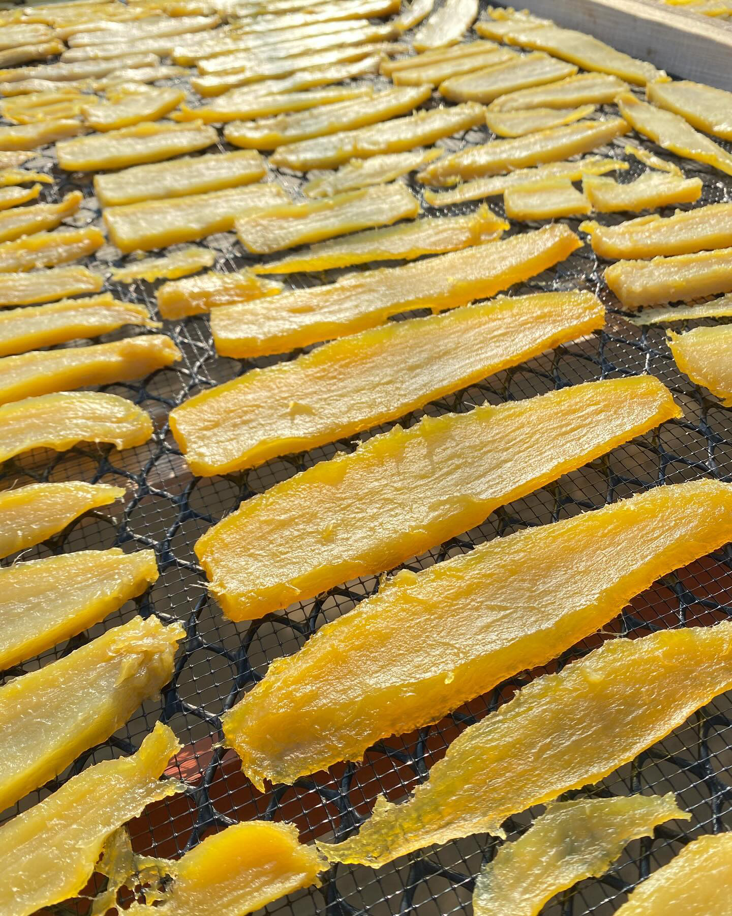 安心・安全、そして贈り物にも